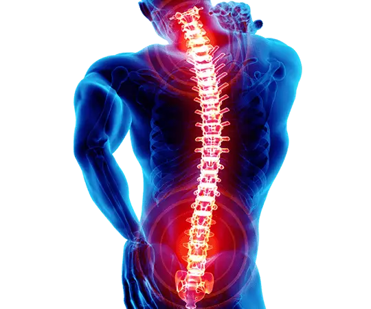 Spine Pain Treatment In Delhi